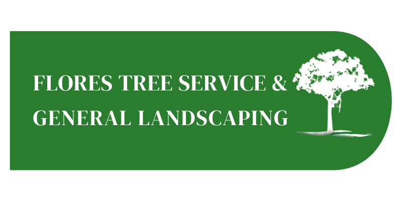 Orlando Flores Tree Services